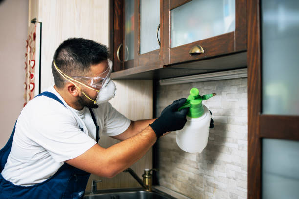Best Rat Extermination Near Me  in Edgewood, TX
