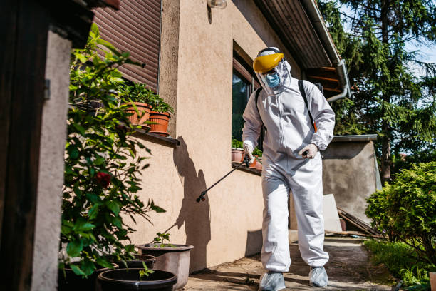 Trusted Edgewood, TX Pest Control Experts
