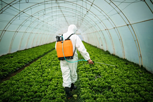 Best Pest Prevention Services  in Edgewood, TX