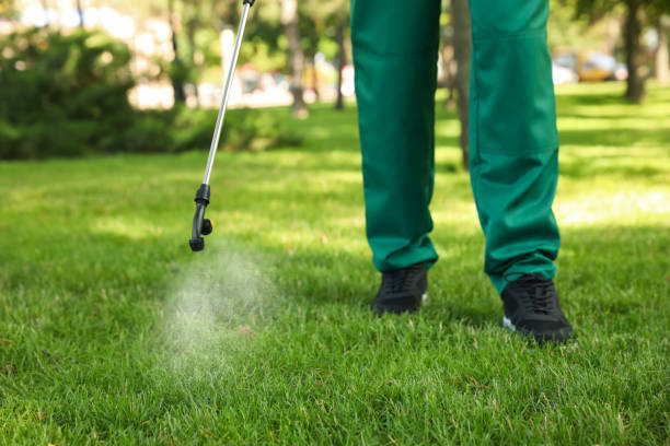 Best Pest Inspection Near Me  in Edgewood, TX