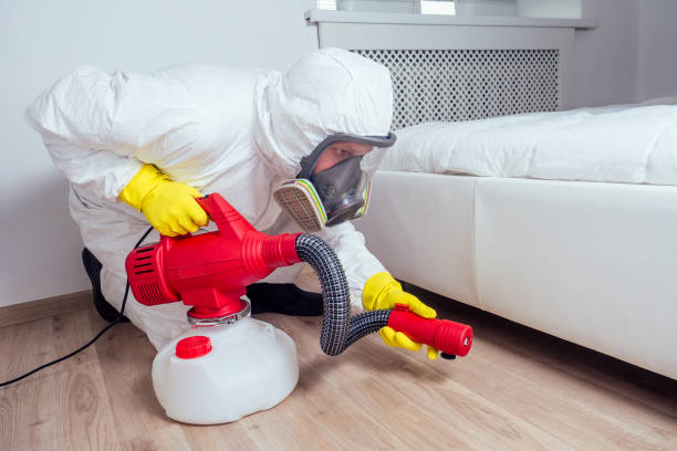 Best Insect Control  in Edgewood, TX