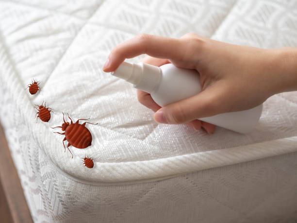 Best Termite Control Services  in Edgewood, TX