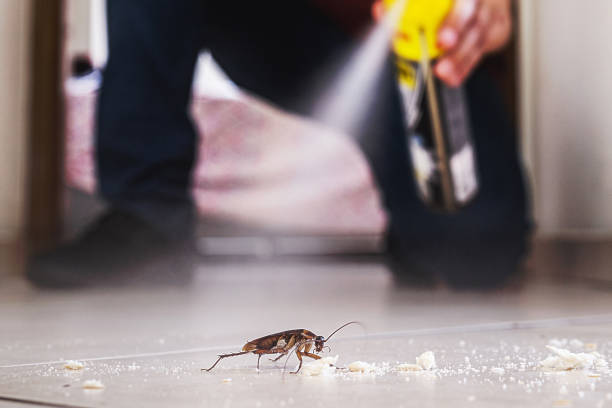  Edgewood, TX Pest Control Pros