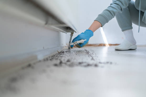 Best Local Pest Control Services  in Edgewood, TX