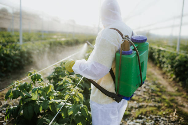 Best Pest Control for Businesses  in Edgewood, TX